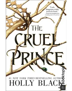 The Cruel Prince by Holly Black